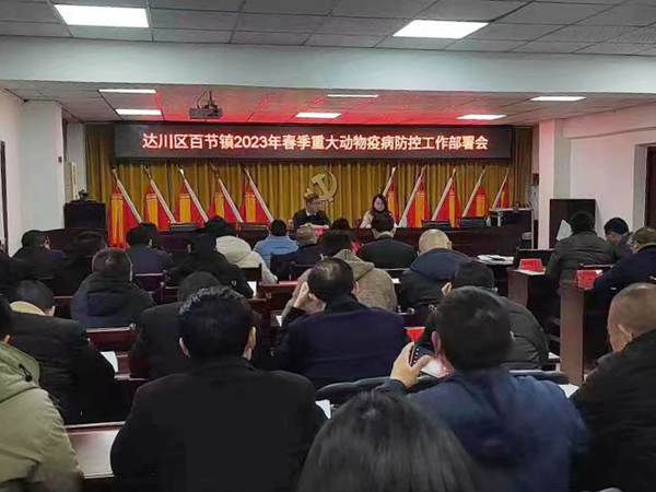 图片6