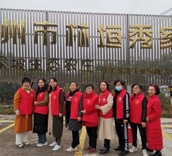 图片6
