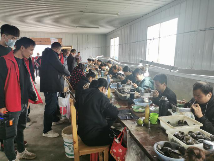图片8