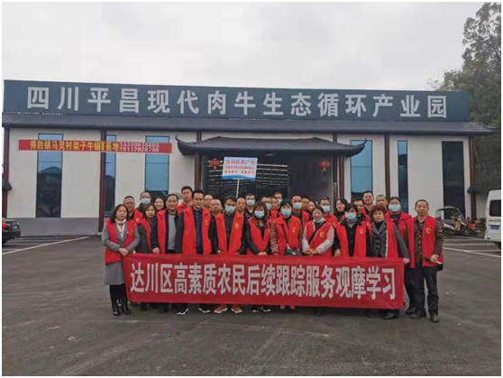 图片10
