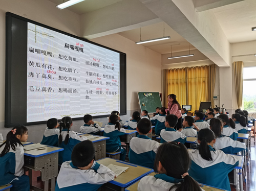 图片5