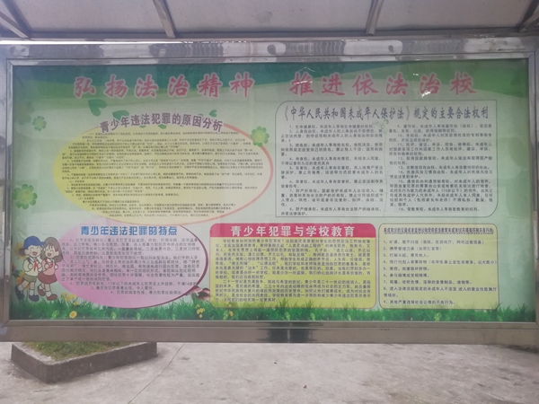 专栏宣传